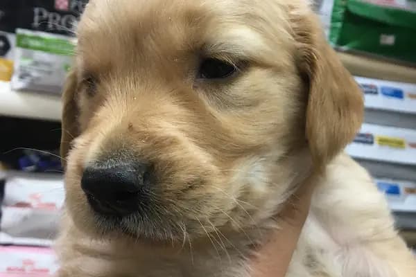 TUNALI PETSHOP ANKARA Kürşat Keskin - Alışveriş merkezi - Ankara Çankaya