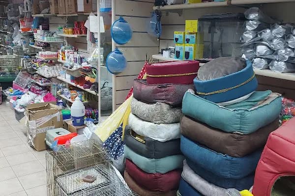 Su Batu Minik Canlar Pet Shop - Evcil hayvan mağazası - Mersin Anamur