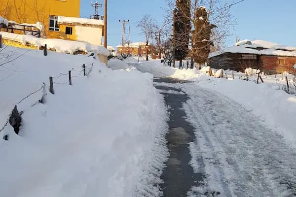 Karacaoğlu - Yerleşim Yeri - Samsun 19 Mayıs