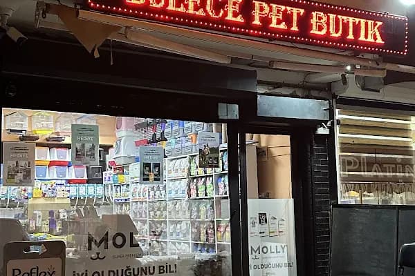 Şulece Pet Shop - Evcil Hayvan Malzemeleri Mağazası - Ankara Beypazarı