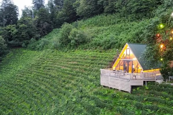 Okobale Dağ Evi - Otel - Artvin Hopa