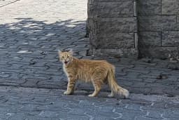 Kastelli İş Merkezi