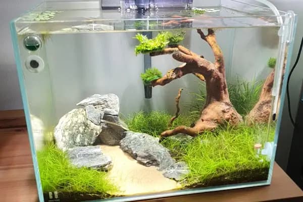 Bursa Cihan Akvaryum &amp; Petshop - Evcil hayvan mağazası - Bursa Nilüfer
