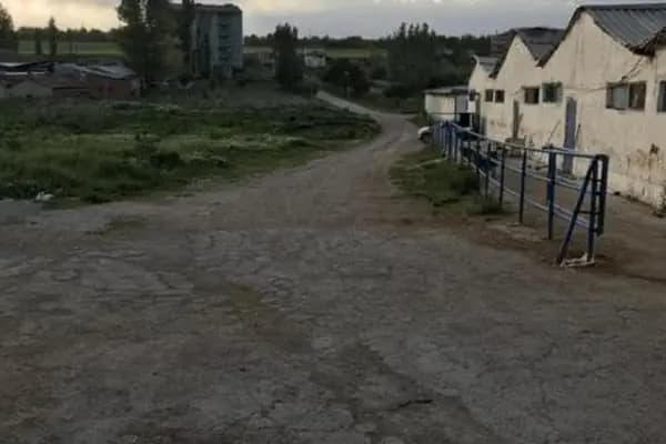 Karabey Besi Çifliği - Büyükbaş Hayvan Çiftliği - Ankara Altındağ