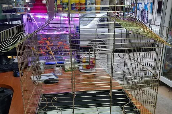 Şen Kardeşler Petshop - Evcil hayvan mağazası - İstanbul Sancaktepe