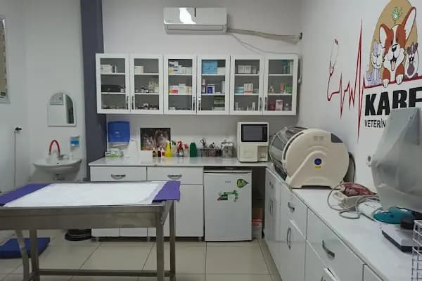 Kare Veteriner Kliniği - Veteriner - Diyarbakır Çermik