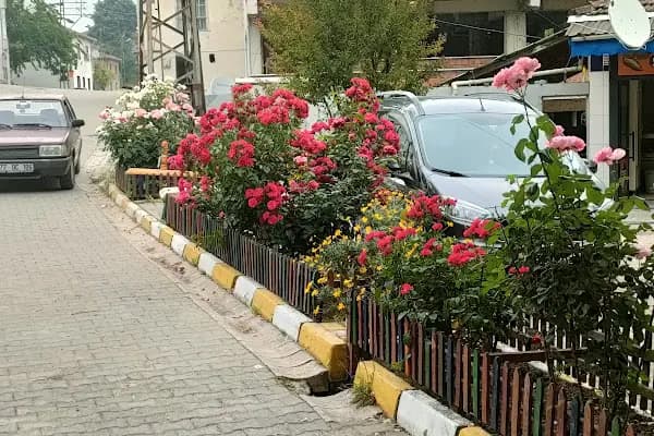 Elmalık Köyü Muhtarlığı - Kurumsal Ofis - Yalova Çiftlikköy