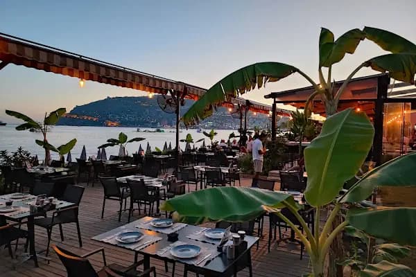 Costa Flamingo Lounge - Restoran - Antalya Alanya