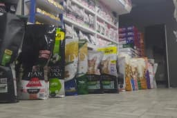 Akademi Petstore