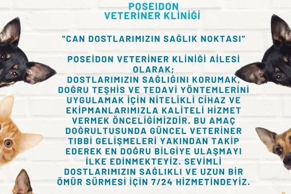 Poseidon Veteriner Kliniği - Veteriner - İzmir Konak