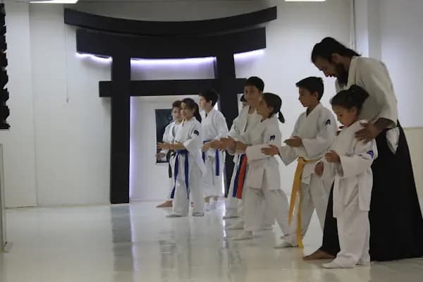 Torii Dojo - Aikido Okulu - Ankara Çamlıdere
