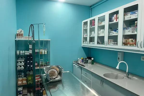 Ümraniye Akça Veteriner Kliniği - Veteriner - İstanbul Avcılar