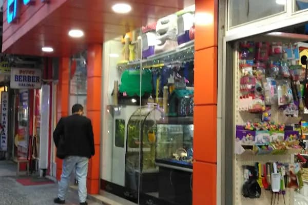 Efe Petshop - Evcil Hayvan Malzemeleri Mağazası - Balıkesir Gönen