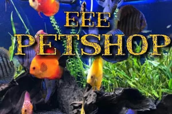 EEE PETSHOP - Evcil Hayvan Malzemeleri Mağazası - Ankara Etimesgut