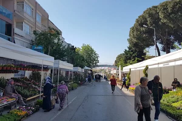 Bayındır Vergi Dairesi - Vergi Dairesi - İzmir Buca