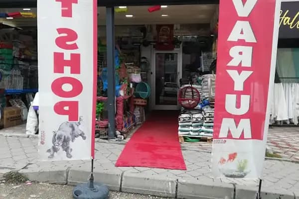 Akmaz Akvaryum - Evcil hayvan mağazası - Ankara Sincan