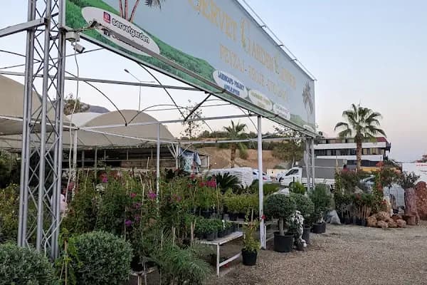 Servet Garden | Peyzaj Uygulama - Ciçekçilik - Çiçek Toptancısı - Antalya Alanya