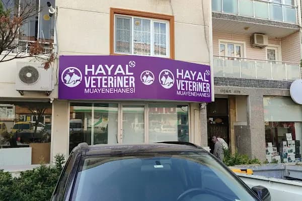 Hayal Veteriner Muayenehanesi I 7/24 veteriner I Üçevler Veteriner I Acil Veteriner - Veteriner - Bursa Osmangazi