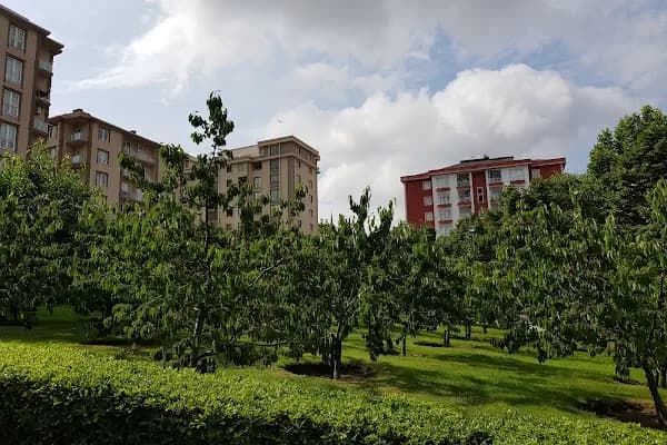 KİRAZ BAHÇESİ - Bahçe - İstanbul Beykoz
