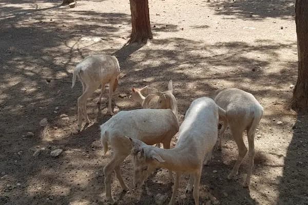 GBB Hayvanat Bahçesi Akvaryumu - Akvaryum - Gaziantep Nizip