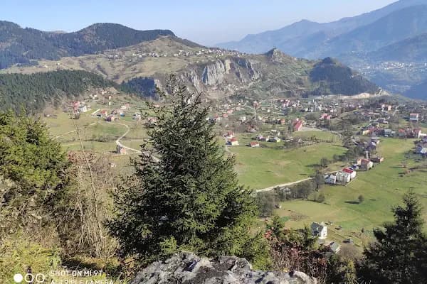 Çalcamili Tabiat Parkı - Milli Park - Trabzon Tonya