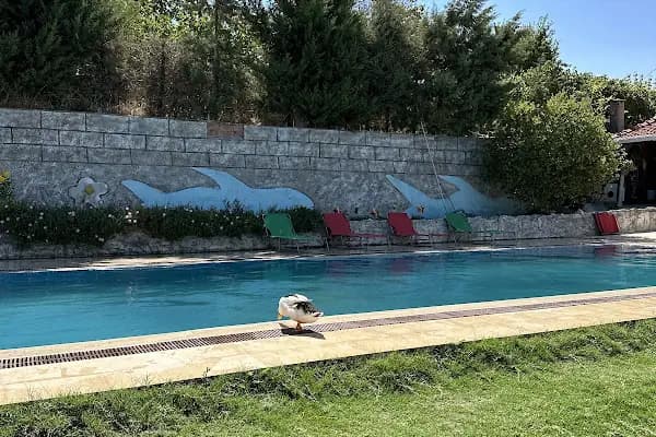 Lavieen Rose Kahvaltı Evi - Kahvaltı restoranı - İzmir Buca