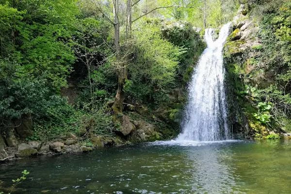 Çenedağ Şelalesi - Ulusal Orman - Kocaeli İzmit