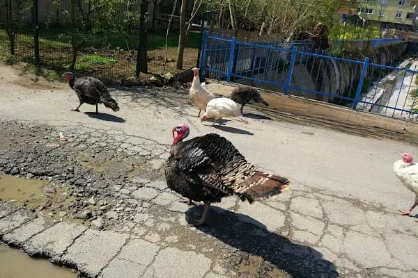 Dedeoğlu Yediemin Otoparkı - Otopark - İstanbul Bayrampaşa