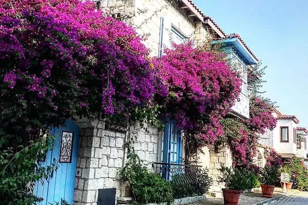 AsmaHan Otel Alaçatı - Otel - İzmir Balçova