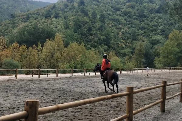 Atlı Vadi Binicilik - Binicilik Okulu - Bursa Nilüfer