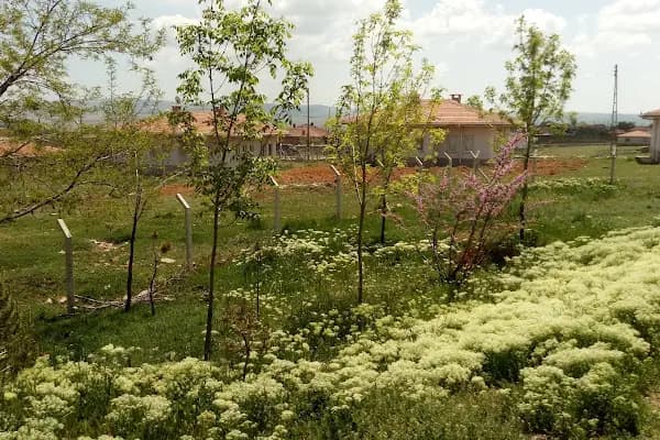 Sofular Musa Ünal İlköğretim Okulu - Okul - Ankara Altındağ