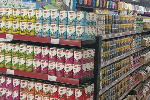 Diyarbakır Petgross Eymen ( petshop akvaryum ) - Evcil hayvan mağazası - Diyarbakır Bağlar