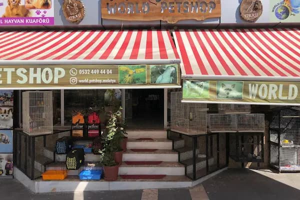 Pati'ş Petshop - Evcil hayvan mağazası - Malatya Battalgazi