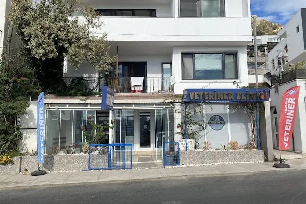 Yalıkavak Halikarnas Veteriner Kliniği - Veteriner - Muğla Bodrum