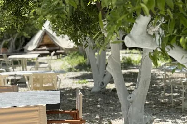 Verona Bitez - Restoran - Muğla Bodrum