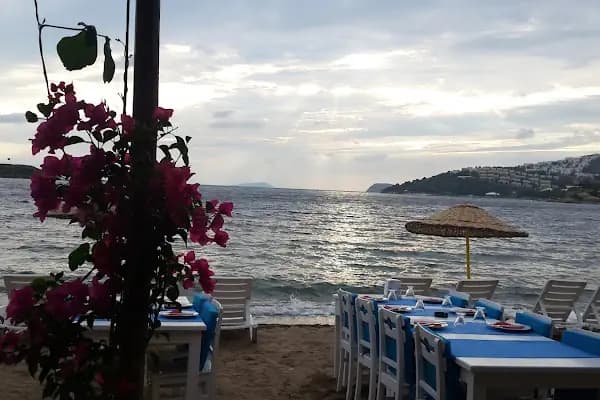 Nuka Bowl &amp; Dessert - Restoran - Muğla Bodrum