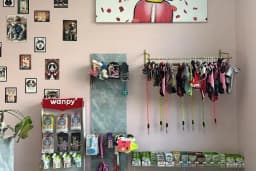 Vetberry Veteriner Kliniği