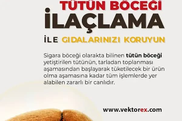 Vektorex İlaçlama - Haşere İlaçlama Hizmeti - İstanbul Bahçelievler