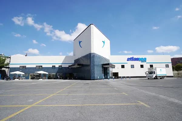 Atlas Ship Supply - Denizcilik Malzemeleri Satıcısı - İstanbul Bağcılar
