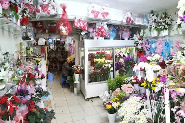 Sefaköy çiçekçil - Çiçekçi - İstanbul Arnavutköy