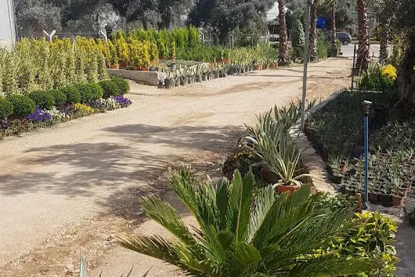 ÇİÇEK PARK PEYZAJ İZMİR FİDANLIĞI ( Bayındır) - Fidanlık - İzmir Bayındır