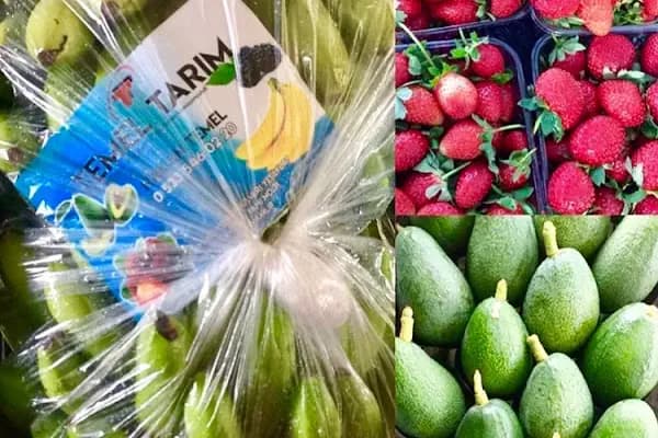 Ay Temel Tarım Muz Çilek Paketleme Tesisi - Meyve Sebze Satış Yeri - Mersin Aydıncık