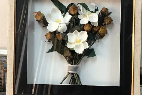 Avcılar Cam - Cam Tamir Hizmeti - İstanbul Avcılar