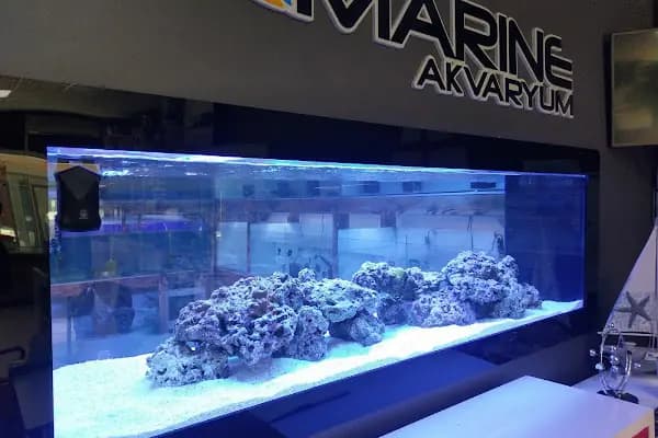 MARINE AKVARYUM SISTEMLERI - Akvaryum - İstanbul Bağcılar