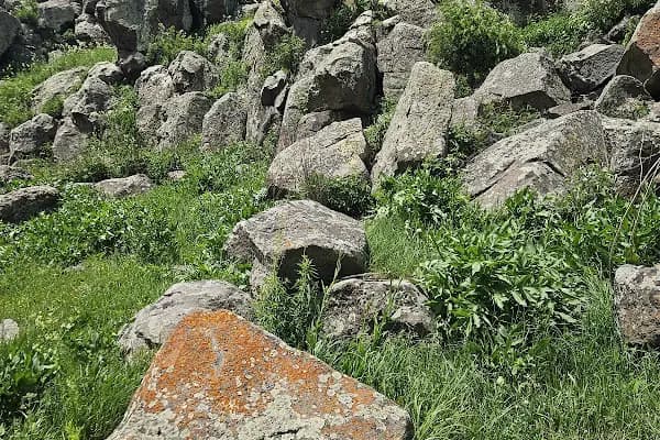 Boyuntaş Köyü Muhtarlığı - Ulusal Orman - Kars Akyaka