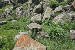 Boyuntaş Köyü Muhtarlığı