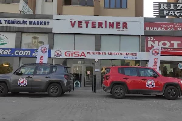 Gisa Veteriner Kliniği I Nilüfer Veteriner | Osmangazi Veteriner | Mudanya Veteriner - Veteriner - Bursa Osmangazi