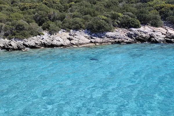 Director Tour - Turizm Danışma Bürosu - Muğla Bodrum
