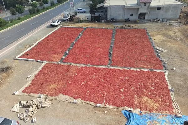 Yıldırım Biber Fabr. - Üretici - Gaziantep Nizip
