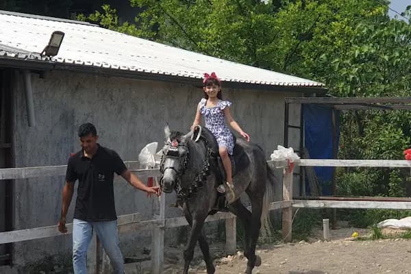 Uludağ Binicilik - Çiftlik - Bursa İnegöl